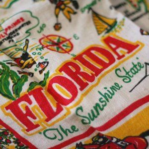 Vintage Florida souvenir apron 1950's cactus cloth